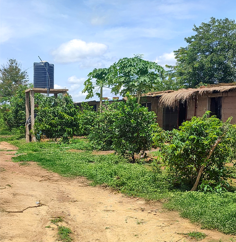 Site de la Ferme Avicole Baniamba à Dio Gare